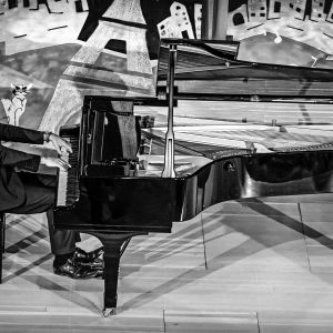 276_Norbert_Liebertz_The_pianist
